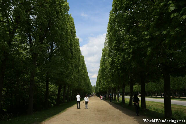 Walking to the Grand Trianon at the Palace of Versailles