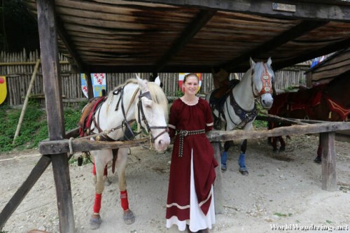 A Lady in Full Costume at the La Légende des Chevaliers in Provins