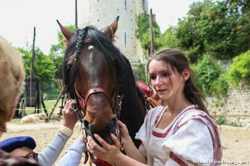 Up Close with the Beautiful Princess in Provins