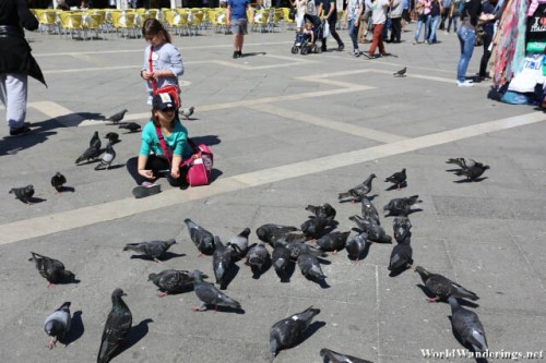 Feeding Pigeon at the Piazza San Marco in Venice