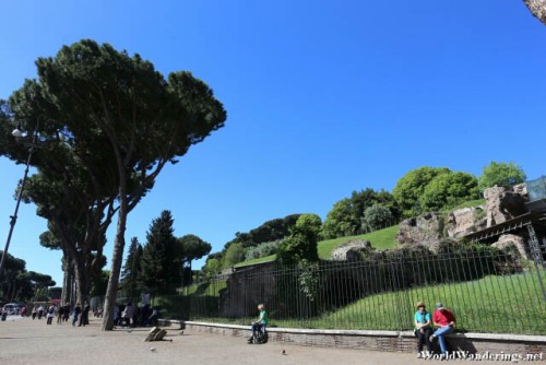 Relaxing at the Palatine Hill