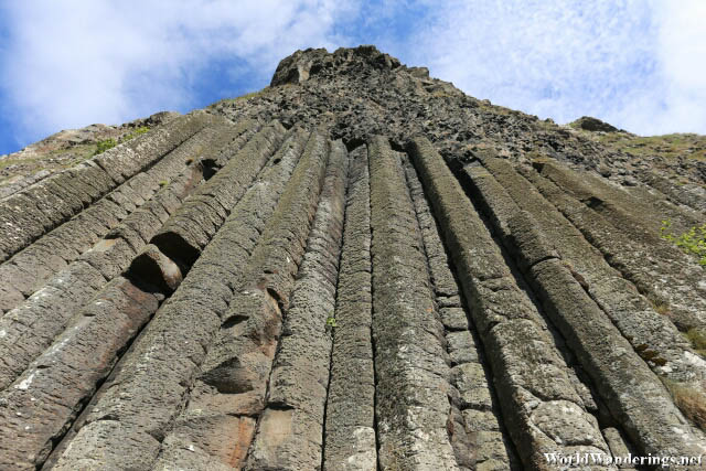 Columnar Jointed Volcanics at the Giant's Causeway