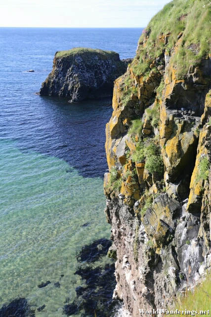 Home for Seabirds at Carrick-a-Rede Island
