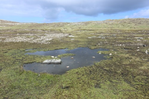 Small Puddle at Tory Island