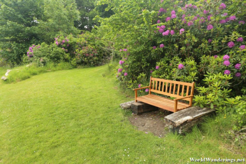 Bench at the Ards Friary Grounds