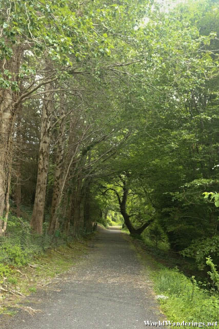Covered Path of Ards Friary