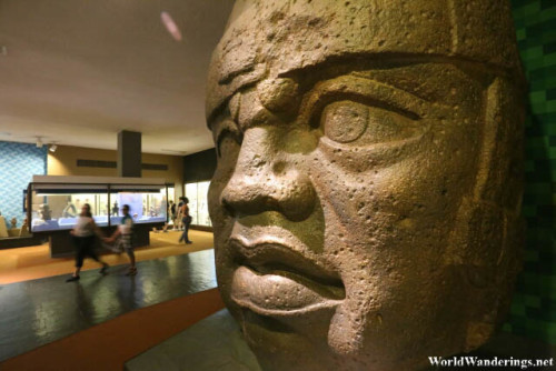 Giant Head of the Olmecs at the American Museum of Natural History