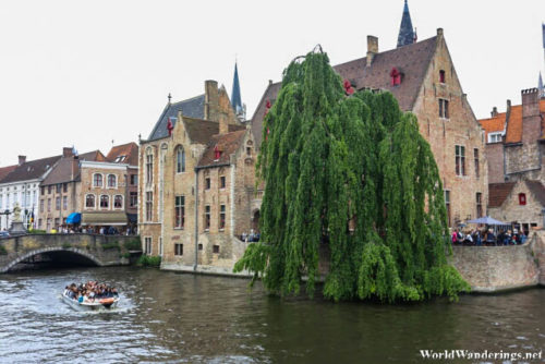 Canal Side Scenery in Bruges