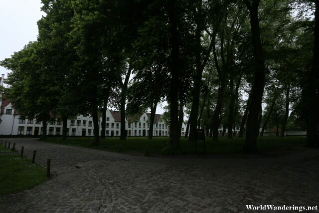 Green Area the Beguinage in Bruges
