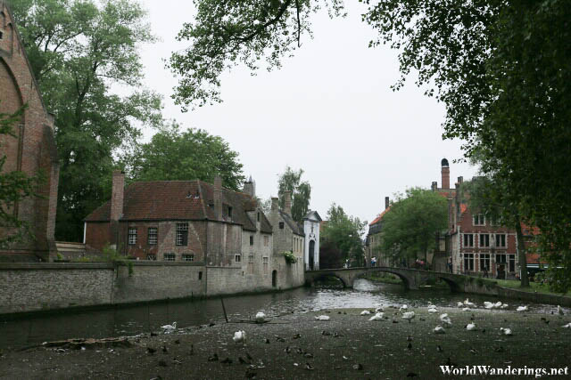 View of the Canal at the Beguinage in Bruges