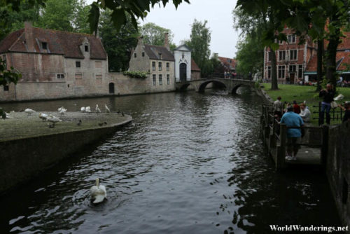 Canal at the Beguinage in Bruges