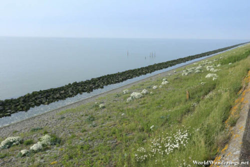 On the Shores of the Afsluitdijk