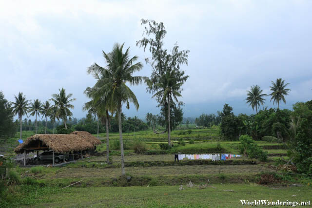 Rural Scene Near Cagsawa
