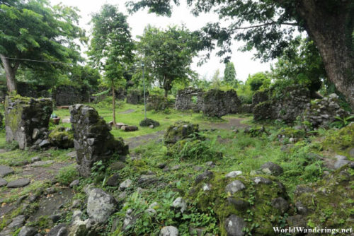 The Ruins of Cagsawa Overrun by Vegetation