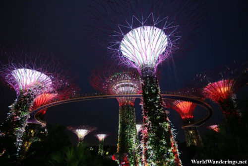 Light Show at the Gardens by the Bay