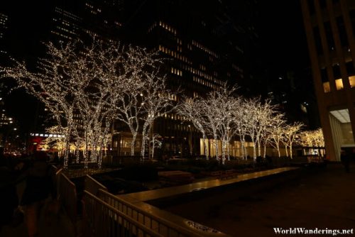 Lights on the Trees at the Rockefeller Center