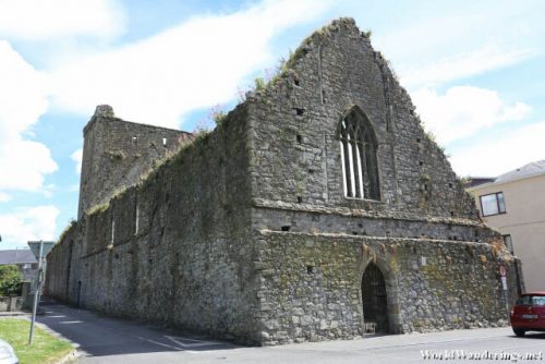 Saint Dominic's Abbey in Cashel
