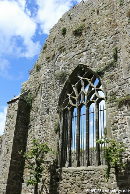 Window of Saint Dominic's Abbey in Cashel