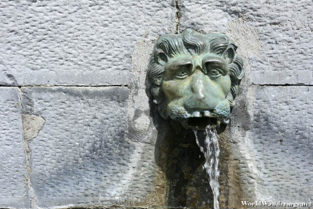 Detail of the Fountain at Cashel