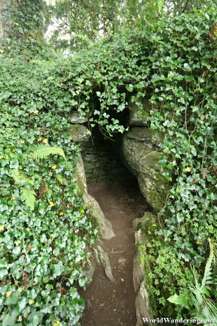 Druid's Cave at Rock Close