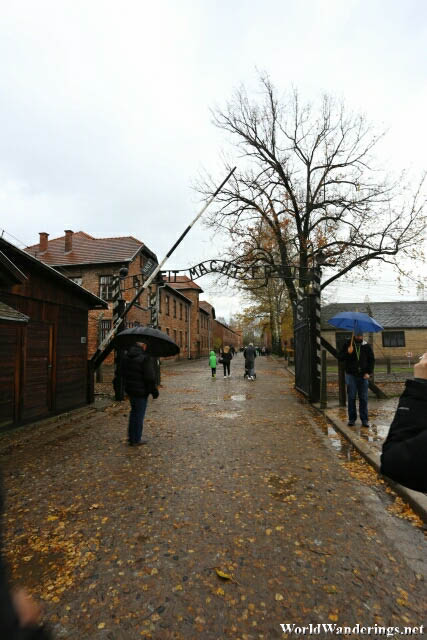 Entering the Gates of the Auschwitz