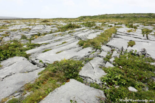 Limestone Landscape at Inishmore