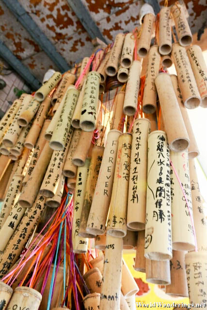 Wishes on Bamboo Sticks at Shifen Train Station 十分车站