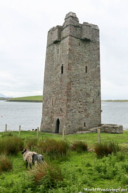 Grace O'Malley's Castle