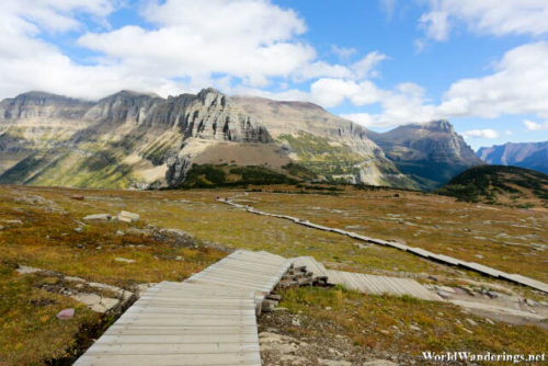 Wooden Walkway at Glacier National Park