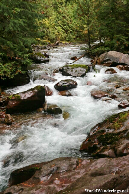 Creek Along the Hike to Avalanche Lake