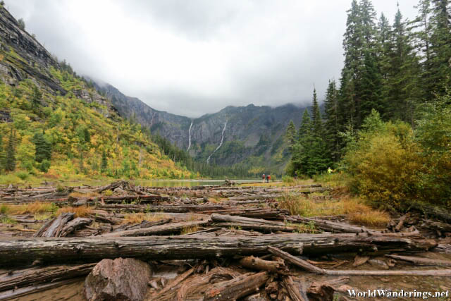 Logs Swept Downstream from Avalanche Lake