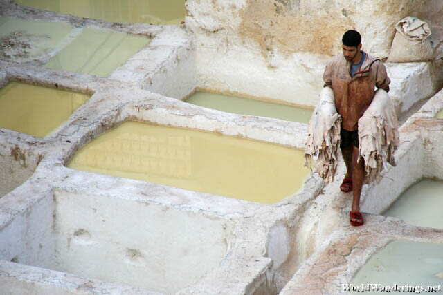 Artisan Carrying Tanned Skin to be Processed