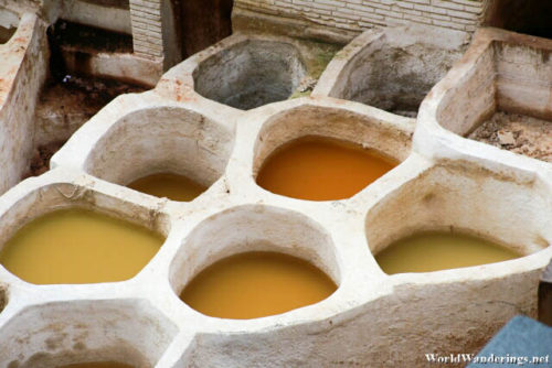Large Vats of Dye at the Chouara Tannery in Fès