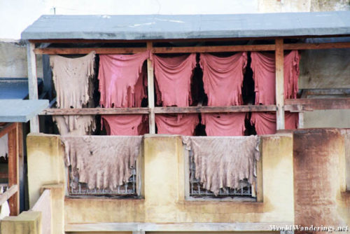 Skins Hung to Dry at the Chouara Tannery