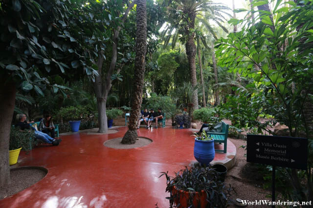 Small Clearing in Jardin Majorelle