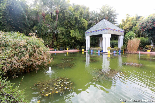 Pavillion at the Water Lily Pool
