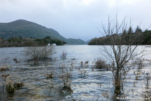 On the Shores of Lake Muckross