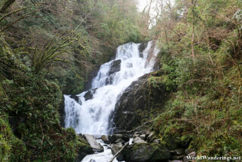 Closer Look at the Torc Waterfall