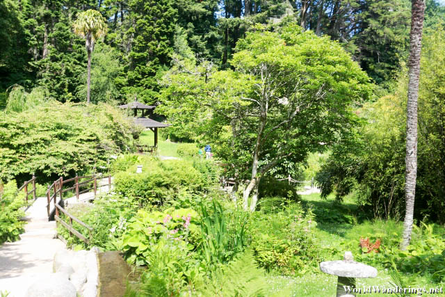 Japanese Garden at the Powerscourt Estate and Gardens