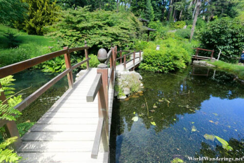 Bridge at the Japanese Gardens at Powerscourt Estate and Gardens