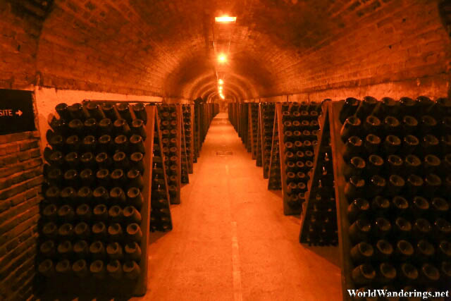 Bottles of Wine Fermenting at Moët and Chandon's Underground Tunnels