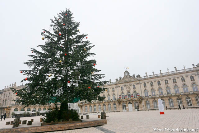 Christmas Tree at Place Stanislas