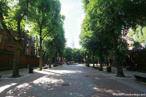 Tree Lined Paul Revere Mall