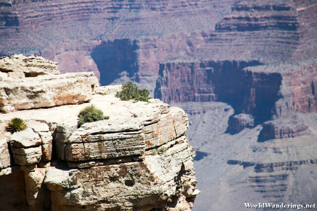 Natural Ledge at the South Rim of the Grand Canyon