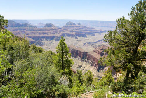 View of the Grand Canyon North Rim