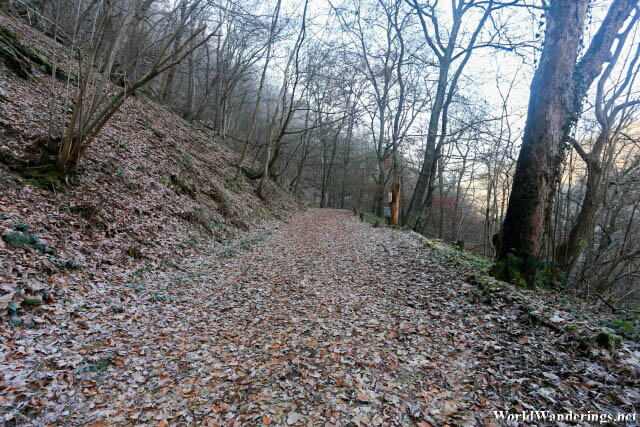 Dirt Path to Burg Katz