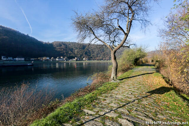 Walking Along the Rhine