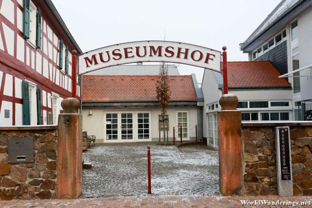 Messel Fossil Museum