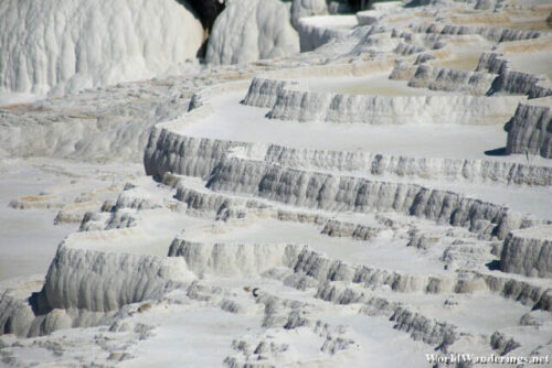 One of the Better Formed Travertine Terraces at Pamukkale