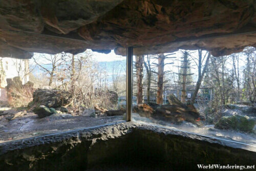 Closer Look at an Enclosure at Alpenzoo